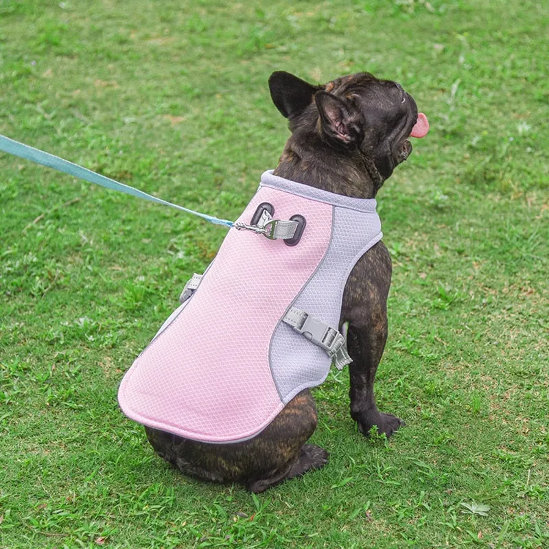 Dog Cooling Vest Jackets