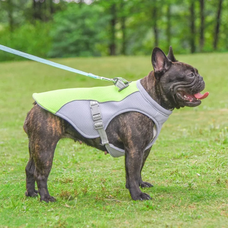 Dog Cooling Vest Jackets