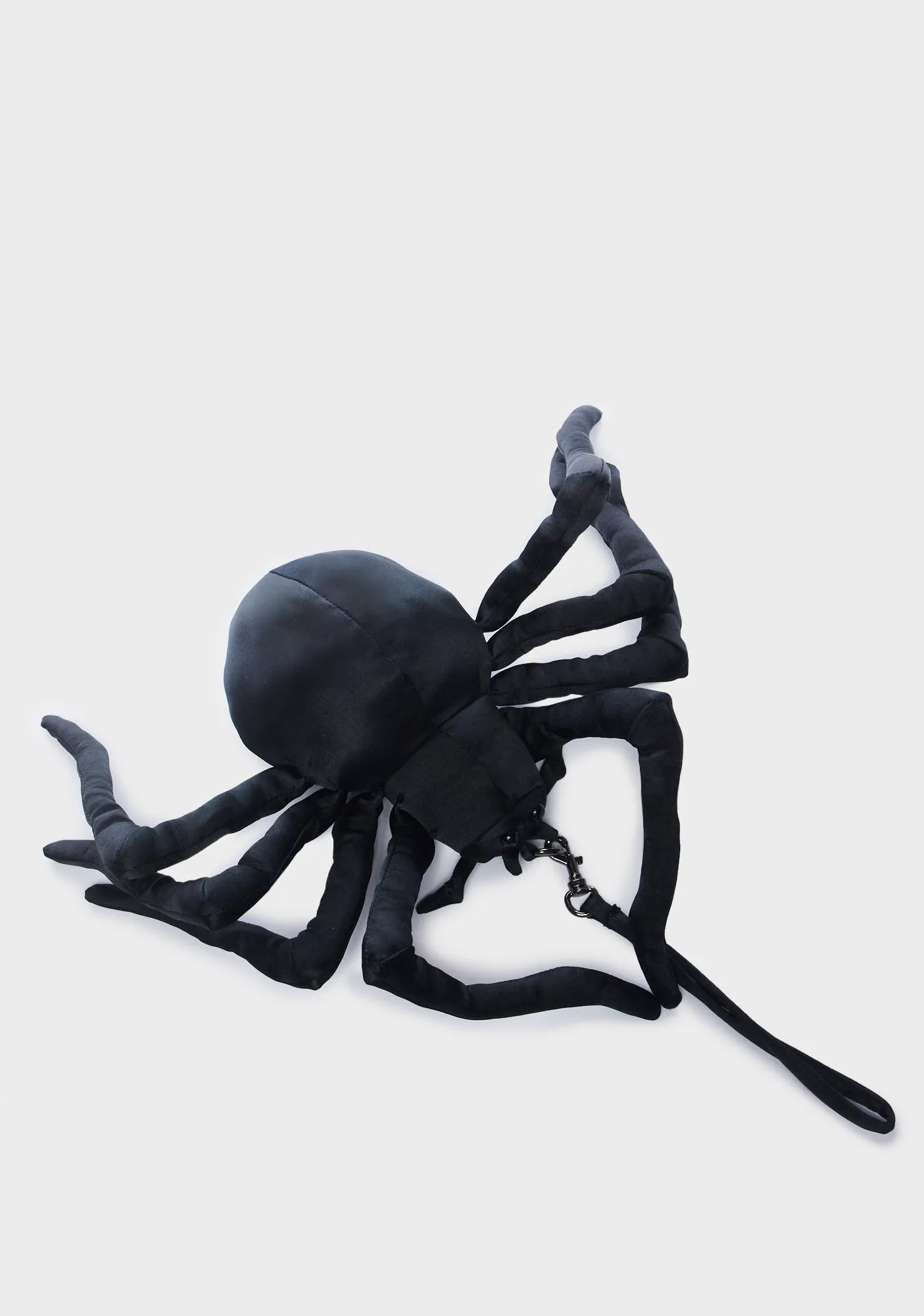 Fright Paralysis Spider Clutch