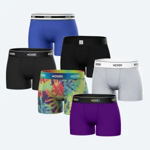 Star Freedom Ahead 6-Pack
