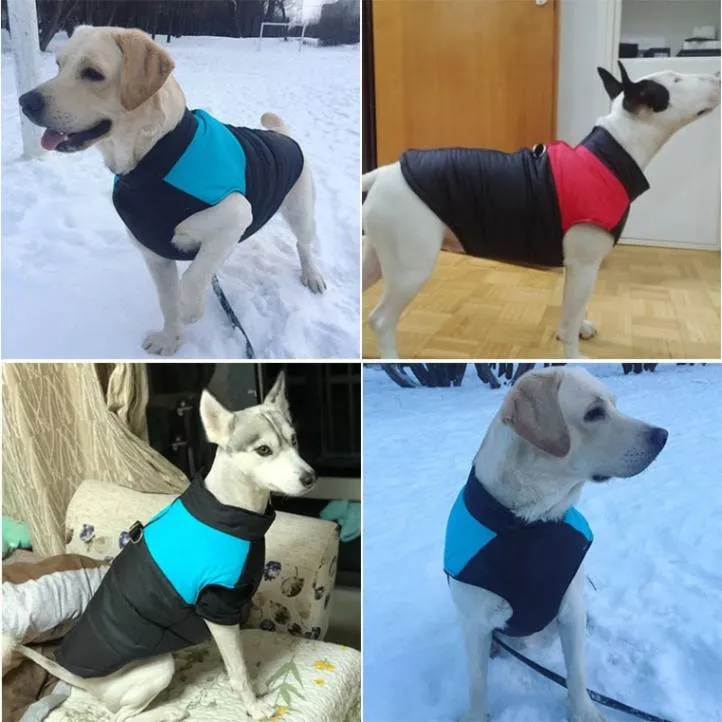 Waterproof Padded Dog Jacket with Zipper - Cozy & Protective for Small to Large Dogs!