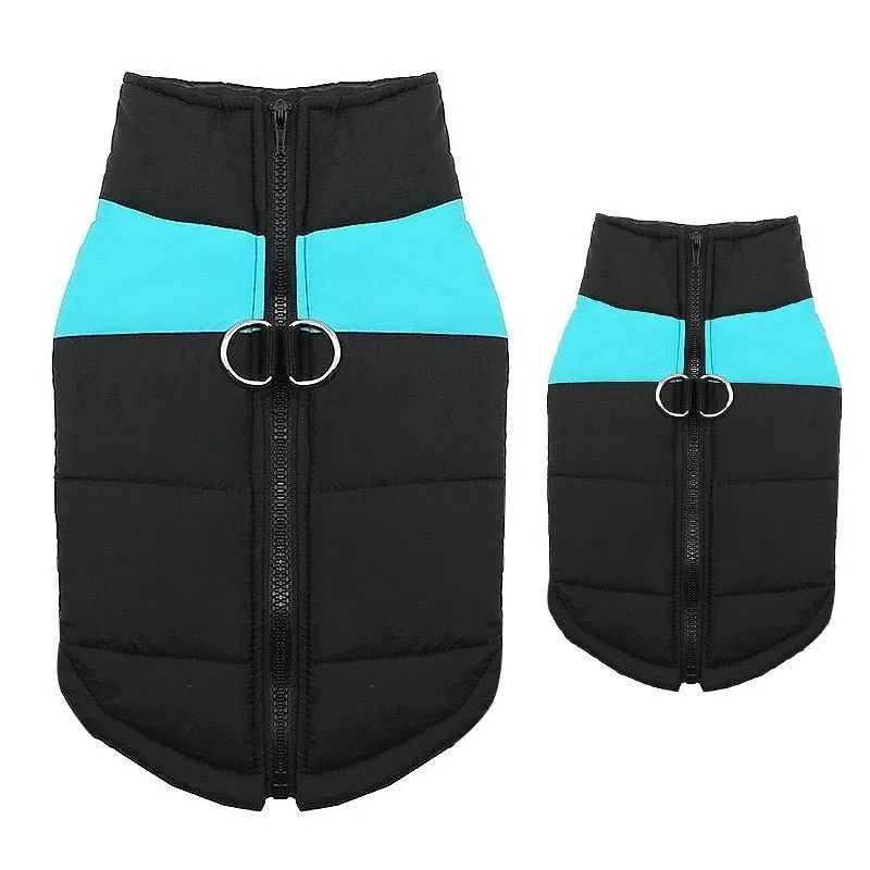 Waterproof Padded Dog Jacket with Zipper - Cozy & Protective for Small to Large Dogs!