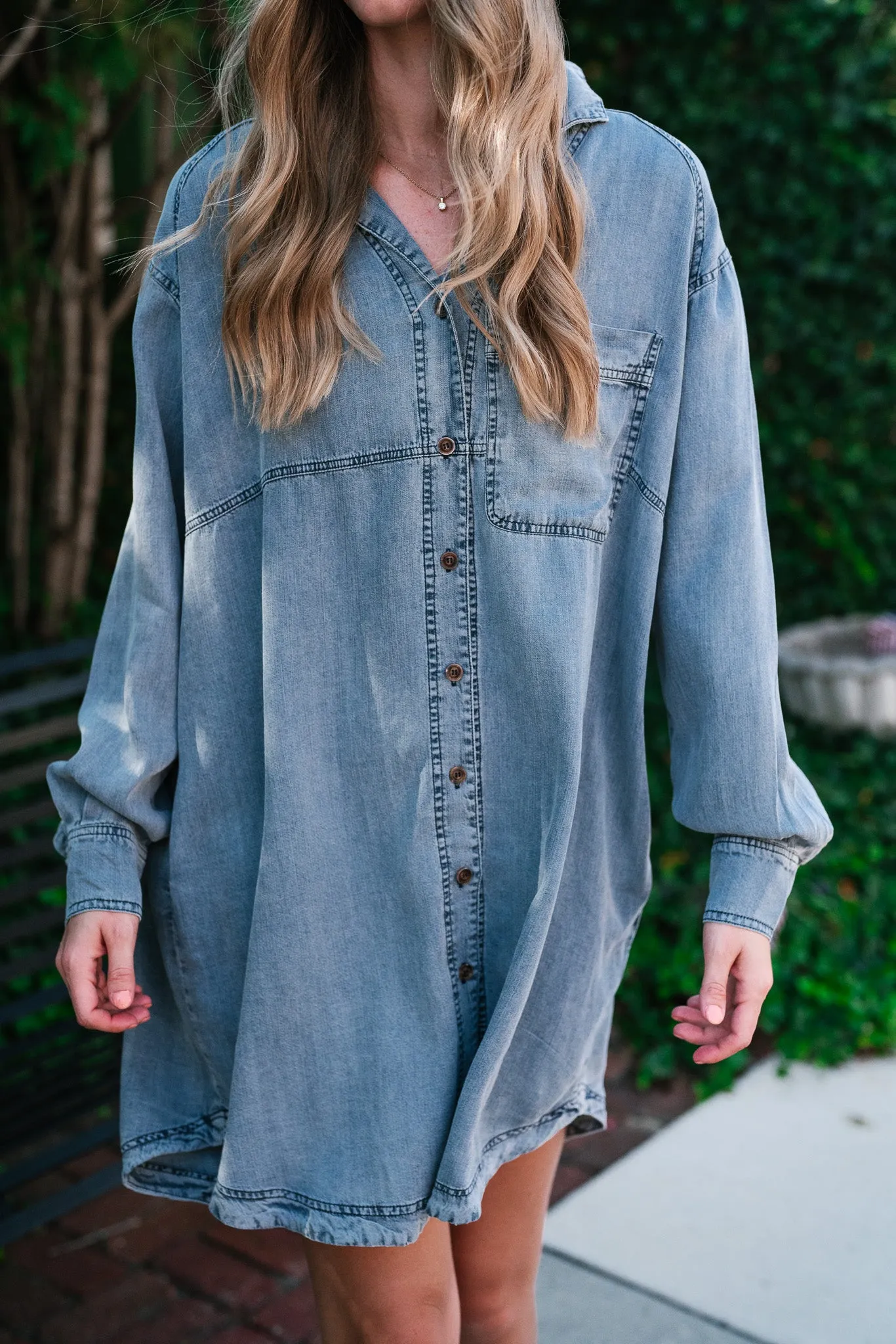 Willow Button Down Denim Dress