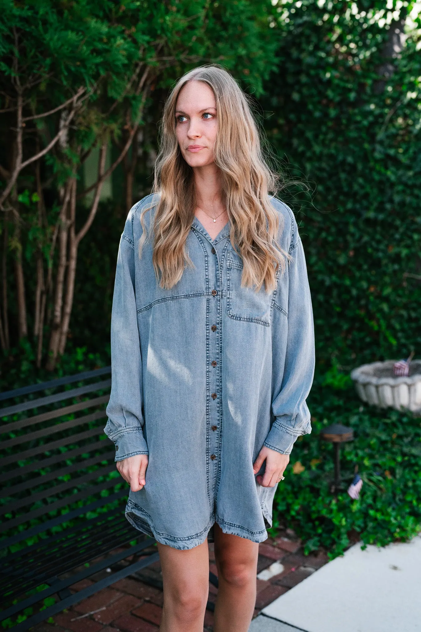 Willow Button Down Denim Dress