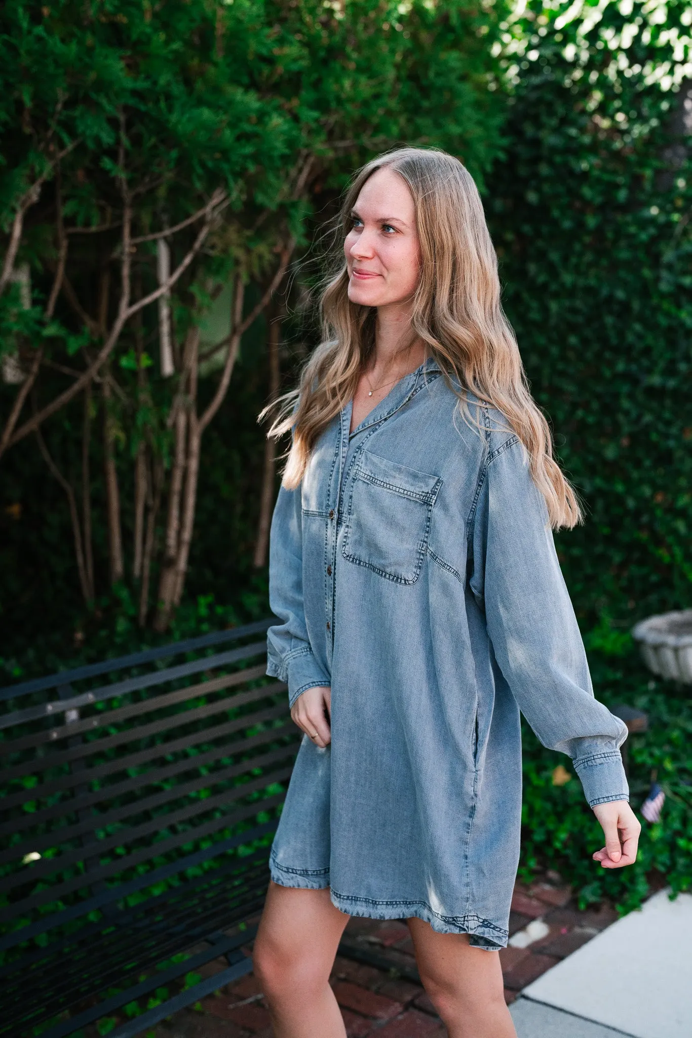 Willow Button Down Denim Dress