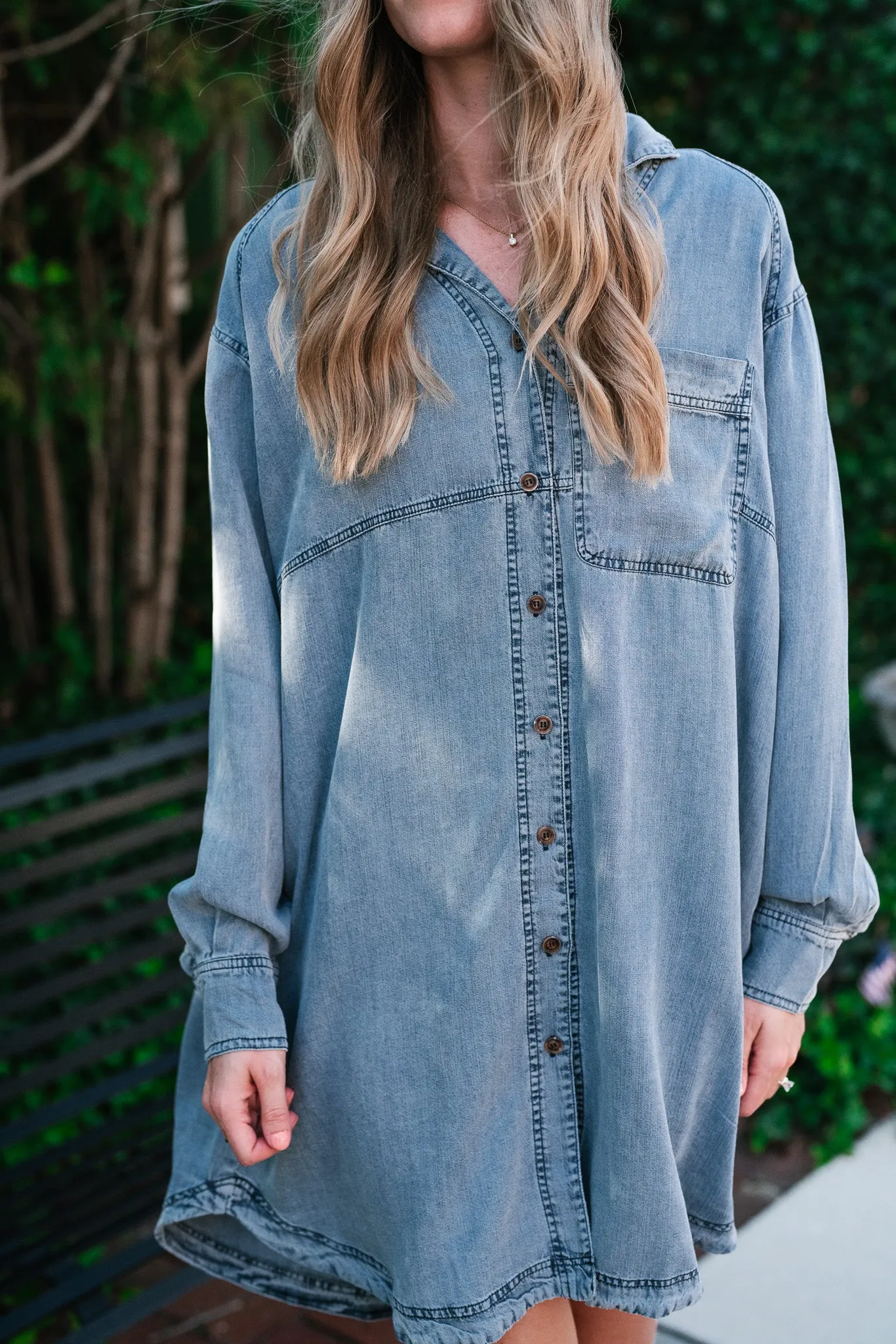 Willow Button Down Denim Dress