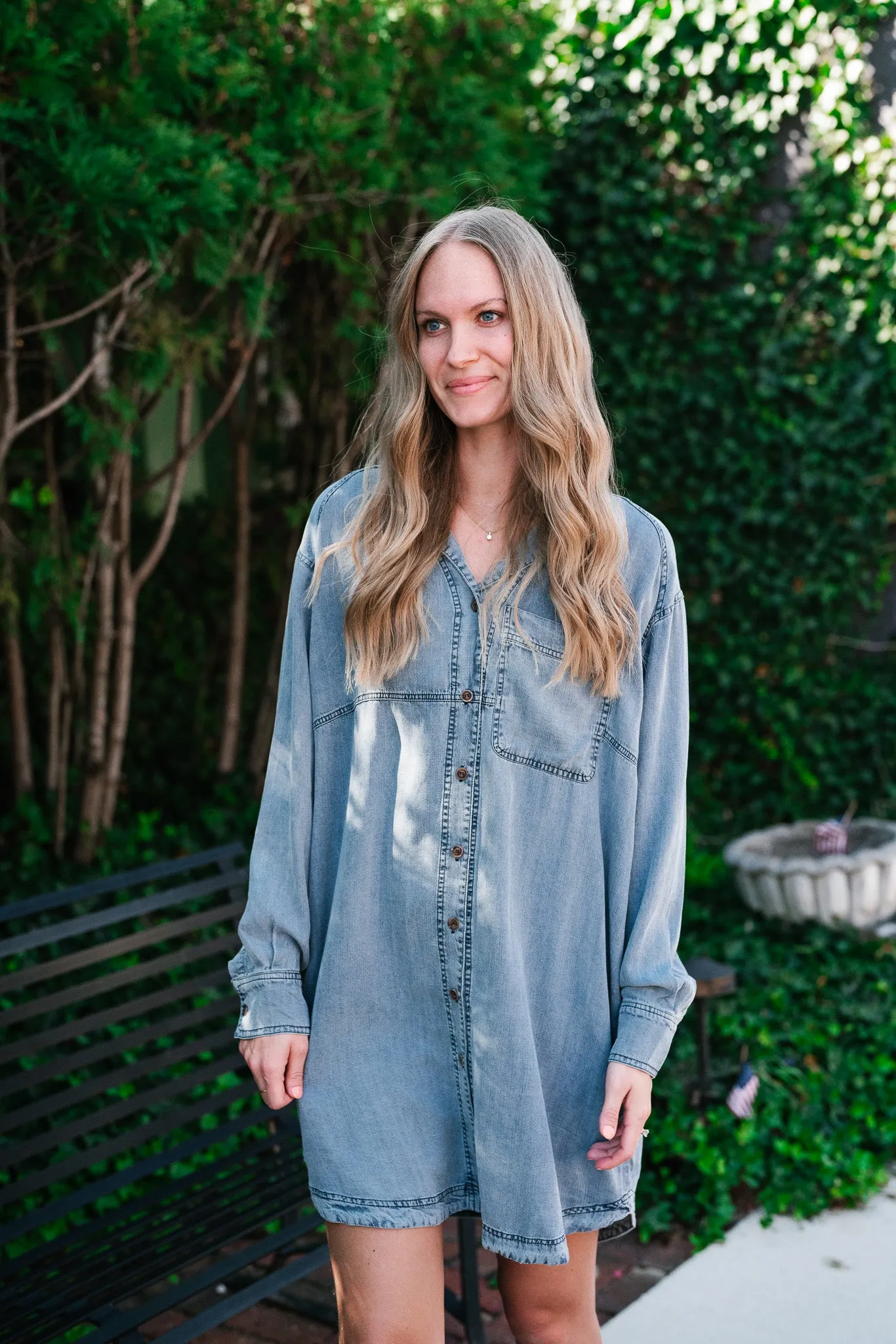 Willow Button Down Denim Dress