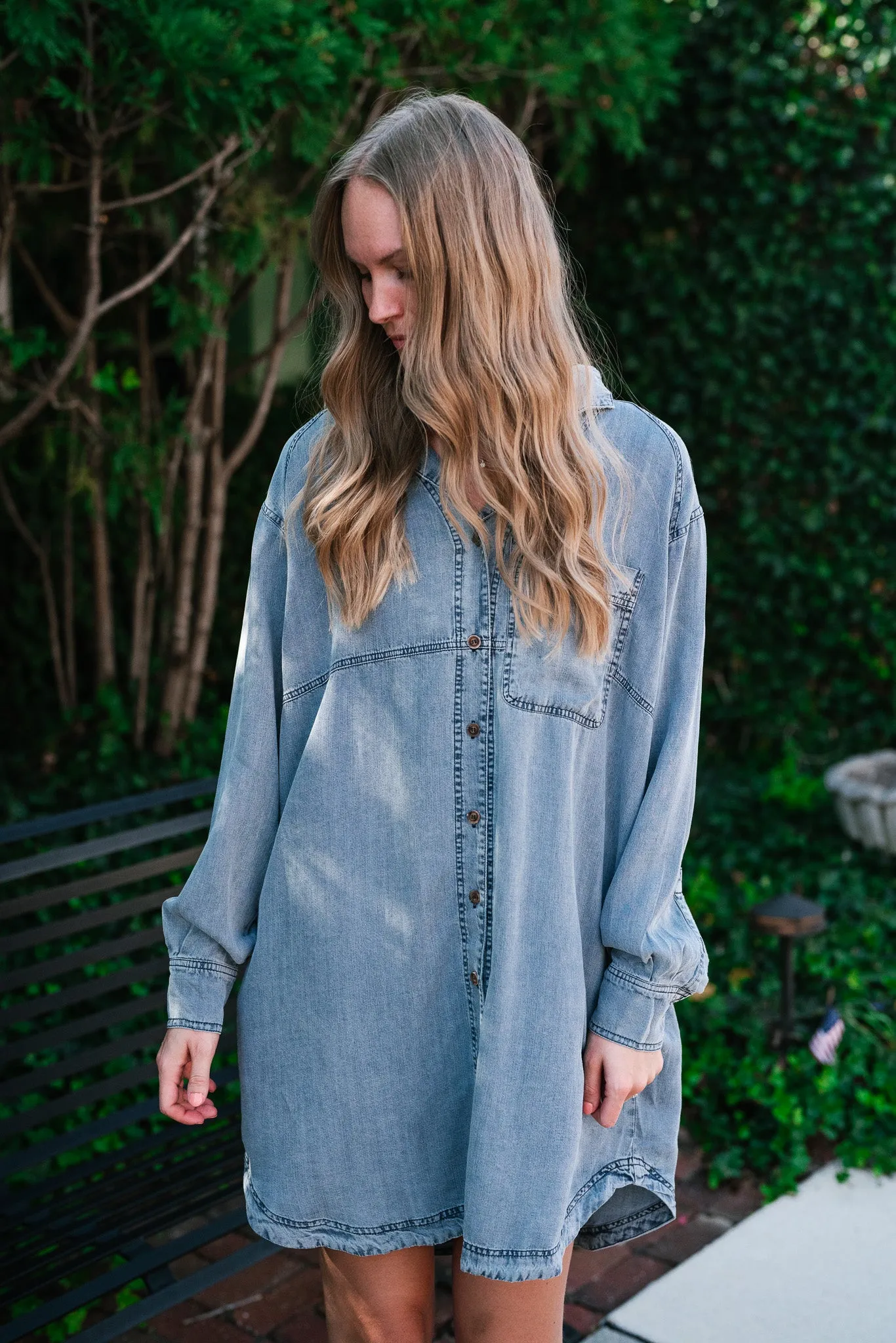 Willow Button Down Denim Dress