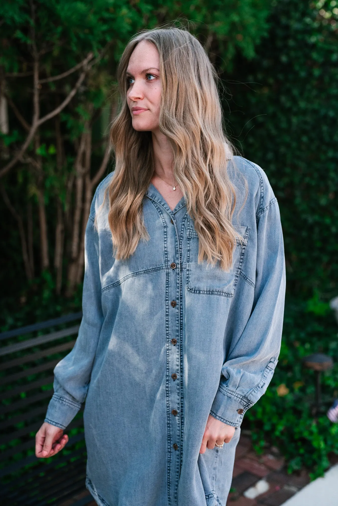 Willow Button Down Denim Dress