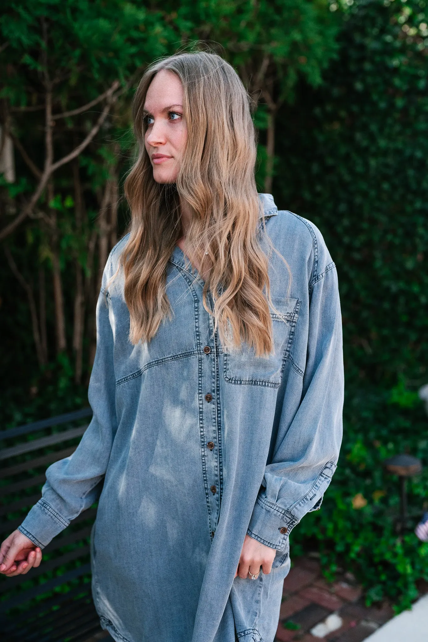 Willow Button Down Denim Dress